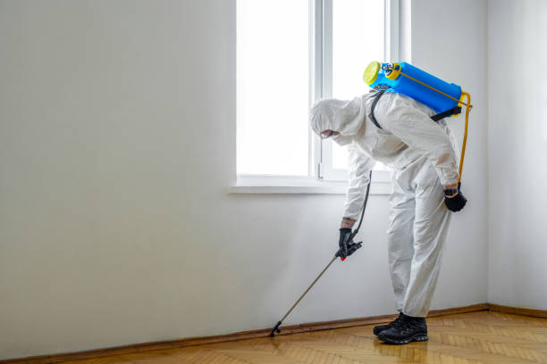 Best Residential Pest Control  in Landisville, PA